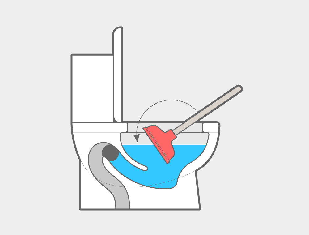 Slowly place the toilet plunger into the toilet.
